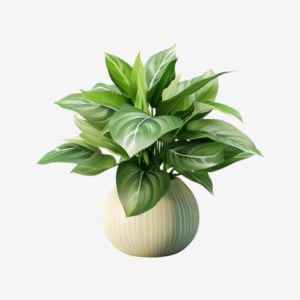 product-2