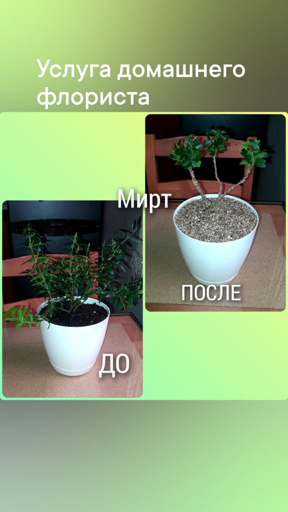 Блог